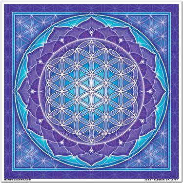 Understanding the flower of life certainly help us to understand how the universe works. Flower of Life | Sacred Geometry | Crystal Life Technology ...