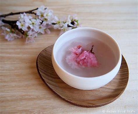 4 Cherry Blossom Sakura Teas You Need To Drink Now
