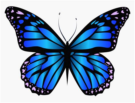 Large transparent butterfly png clipart. Clip Art Blue Butterfly Transparent - Butterfly Clipart ...