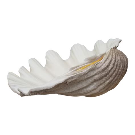 Real ones can grow up to 4 feet long and weigh 500 pounds! Giant Clam Sea Shell Bowl or Vase | Sea shells, Giant clam ...