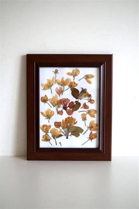 Check spelling or type a new query. Dried Flowers Wall art Flowers Pictures Frames Floral Home ...