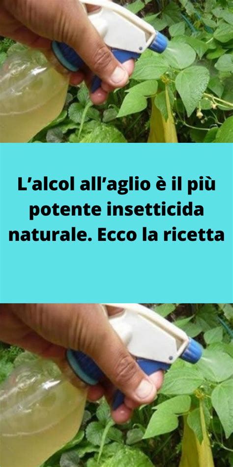 Insetticida Naturale Artofit