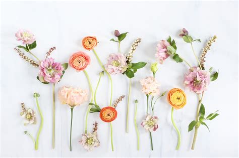 Flower Minimalist Desktop Wallpapers Top Free Flower Minimalist