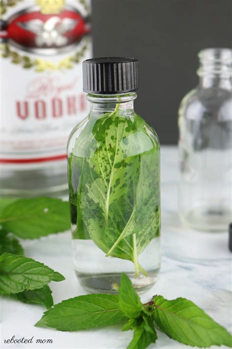 Homemade Mint Extract - Rebooted Mom