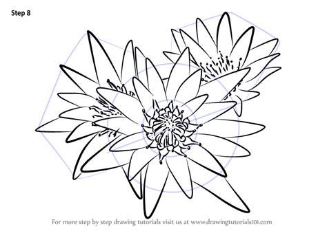 Learn How to Draw Water Lily Plant (Lily) Step by Step ... Colorful flowers always brighten up my day.