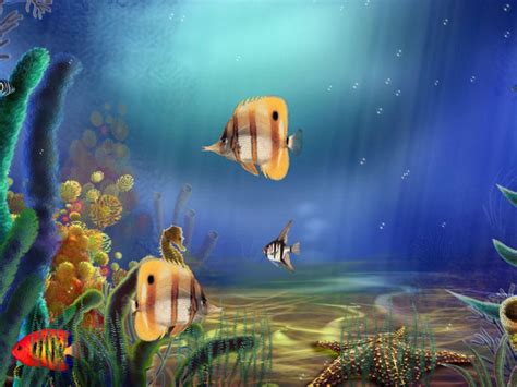 Cartoon Aquarium Wallpapers Top Free Cartoon Aquarium Backgrounds