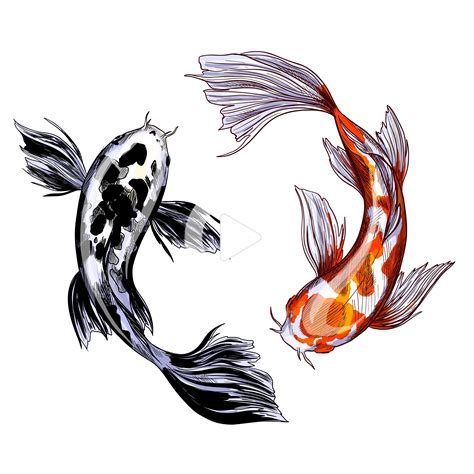 Pin On Tattoo Coi Fish Koi Fish Drawing Illustration Art Drawing
