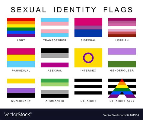 Sexual Identity Pride Flags Set Lgbt Symbols Flag Vector Image