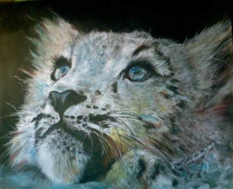 Snow Leopard Done In Pastels From A Photo By Eric Ash Snow Leopard