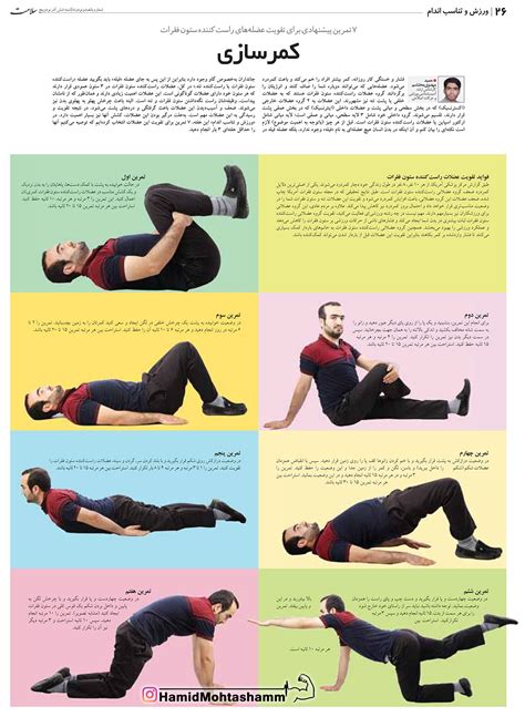 کمرسازی 7 تمرین پیشنهادی برای تقویت عضلات کمر Hamid Mohtasham حمید محتشم