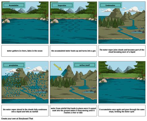 The Water Cycle Storyboard By Ricardosz