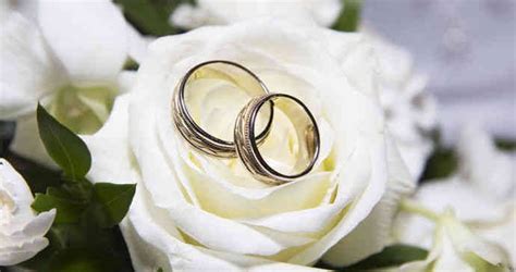 Casarse Cómo Solicitar Una Licencia De Matrimonio En Nj Njwedding