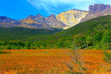 Chilean Patagonia Steppe Pampa Meadows Landscape Sunrise Torres Del