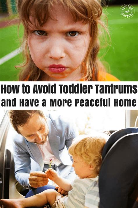 Pin On Toddlers And Preschoolers