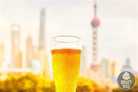 Best Chinese Beer A Complete Guide To The Best Beers From China