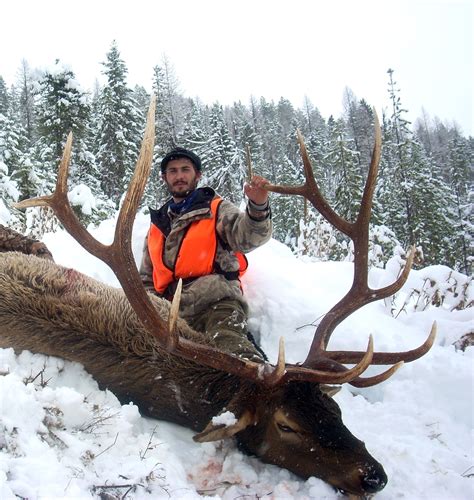 Which Are The Best Elk Hunting Zones In Montana