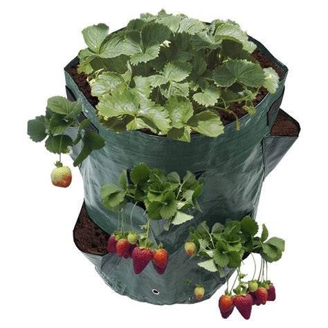Strawberry Planter Grow Bags 3pcs Heartdeco