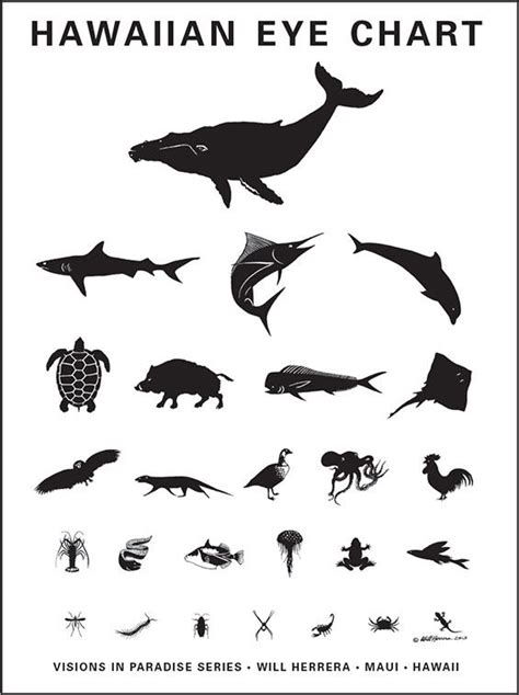 The Hawaiian Eye Chart Shows Different Types Of Fish And Other Marine