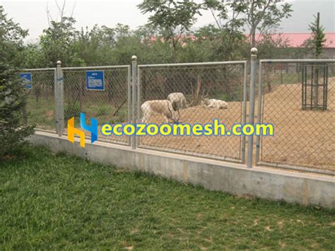 Zoo Fence Zoo Enclosure Stainless Steel Wire Rope Mesh