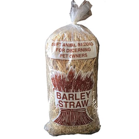 Pet Barley Straw Bloom And Veg
