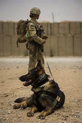 Photos of Dog Handler In The Army