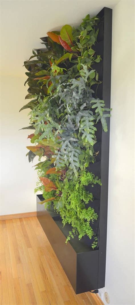 Phils And Ferns Vertical Garden — Florafelt Living Wall Systems