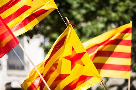 Catalonian Flag Stock Image Image Of Vote Independence 57771233