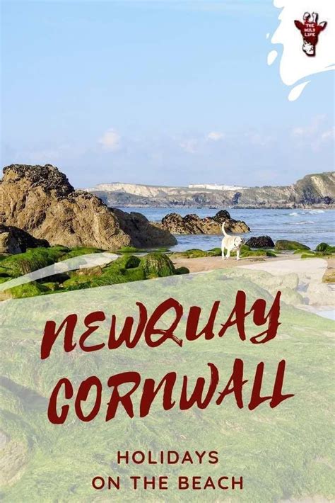 newquay cornwall holidays on the beach global grey nomads europe travel guide travel tours