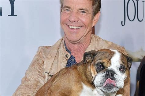 'a dog's journey' gives fantastical trilogy emotional bite. An emotional dog's journey, Latest Movies News - The New Paper