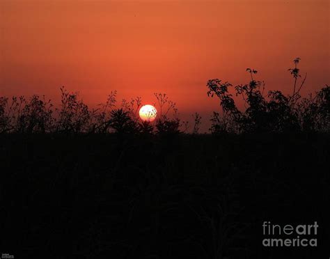 107 Lacassine Sunset Photograph By Lizi Beard Ward Fine Art America