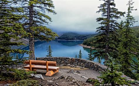 Lake Moraine Banff National Park Lake Pine Trees Wooden Bench Mountain