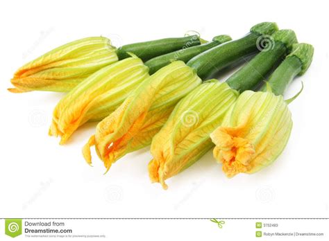 Check spelling or type a new query. Pin de Dreamstime Stock Photos en Edible Flowers From Our ...