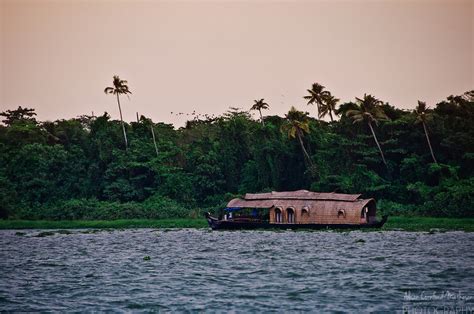 Kettuvallam Houseboats On The Kerala Backwaters Alison Cornford Matheson