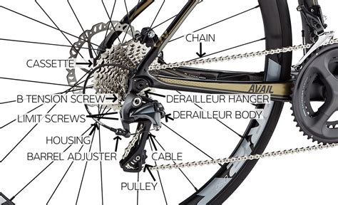 How To Adjust A Bike Derailleur Liv Cycling Official Site