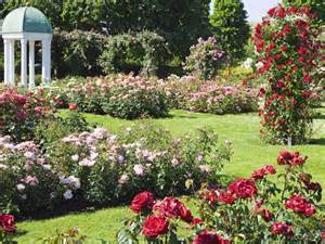 How To Grow A Cottage Garden Womans Weekly