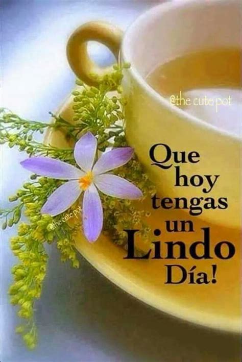 1589 Best Images About Pensamientos Positivos On Pinterest Amigos
