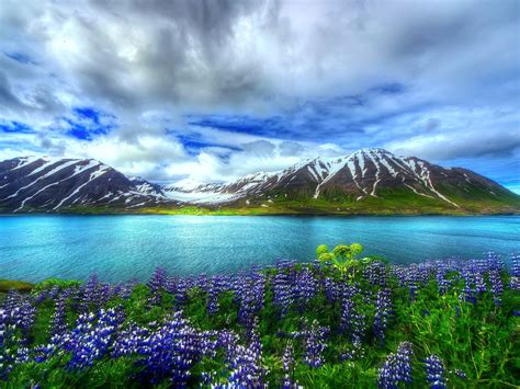 nature beautiful hd wallpaper mountain lake flowers sky wallpaperscom