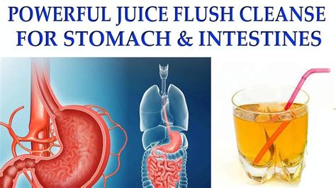 Powerful Juice Detox Cleanse For Stomach And Intestines Detox Juice
