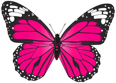 Clipart Mùa Hè Transparent Background Pink Butterfly Clipart Sáng Tạo