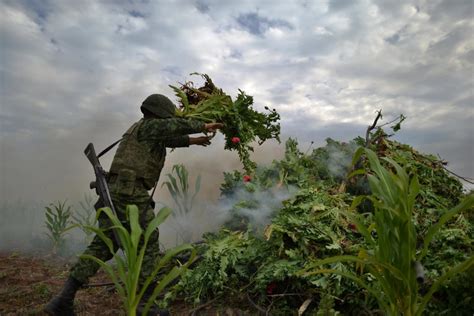 Drug War No More The New York Times