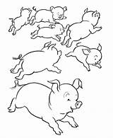 Pig Coloring Pigs Many Popular Coloring2print sketch template