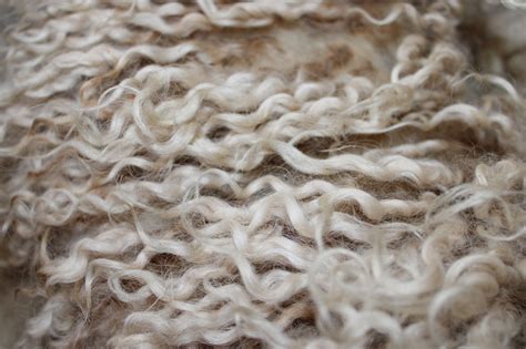 Raw Lincoln Longwool Fleece — Benridge Woolworks