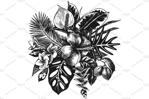 Tropical Botanic Illustrations Botanical Illustration Black And White