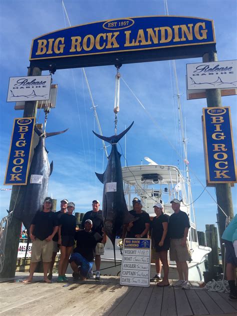 3 Blue Marlin Brought To Scales At Big Rock Blue Marlin Tournament