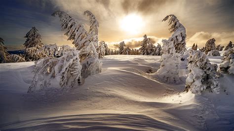 Snow Covered Hills With Trees During Dawn Morning Hd Nature Wallpapers