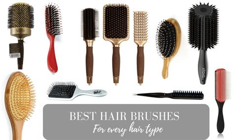 4 the 6 best brushes for long hair cats reviewed. 9 Best Hair Brush Models For Every Hair Type