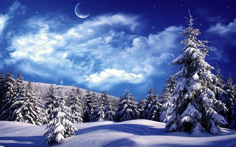 Hd Wallpaper Green Pine Trees Fur Trees Clouds Snow Moon Sky