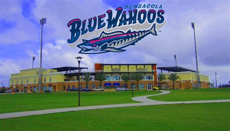 Pensacola Blue Wahoos Baseball