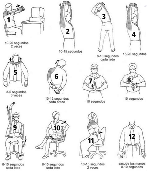 Rutina De Ejercicios Para Personas Que Se La Pasan Sentadas En La