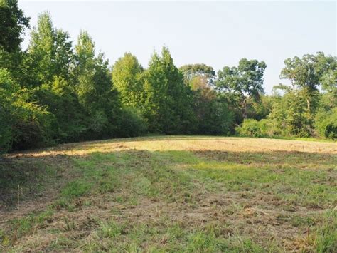 280 Acres Hunting Land For Sale South Ms Jefferson Davis Co Hunting